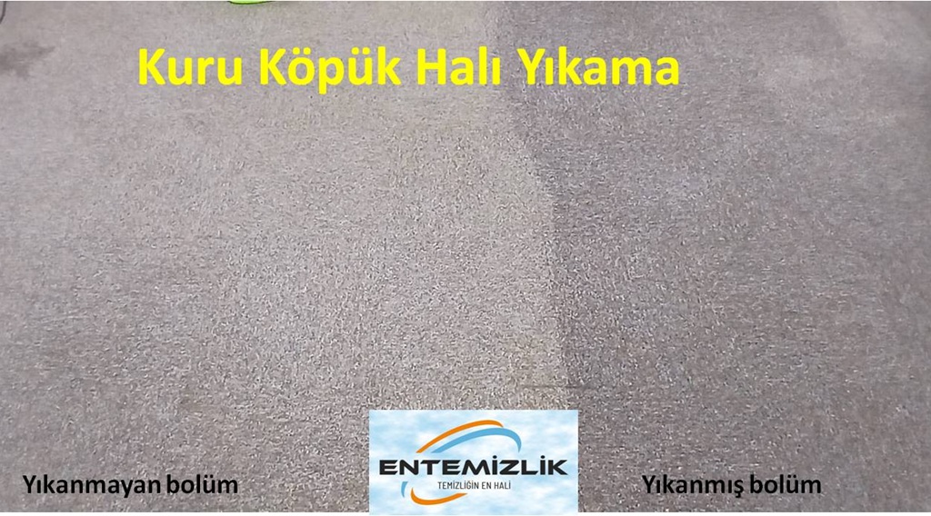 Hizmet Galerisi